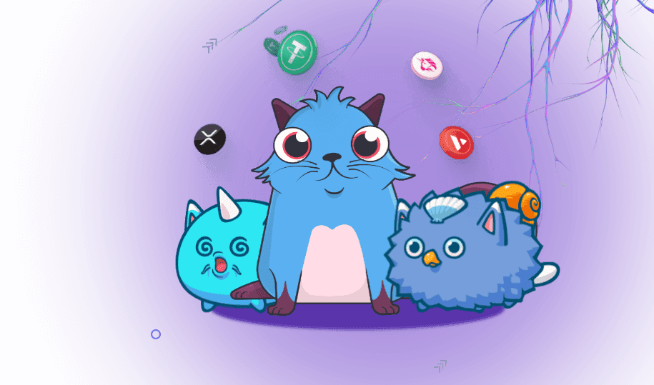 Discover Our NFT & Blockchain Development Process